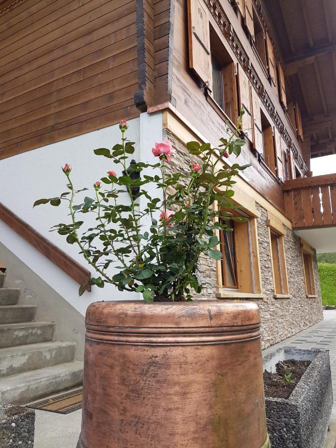 Chalet Grueneggli Adelboden Kültér fotó