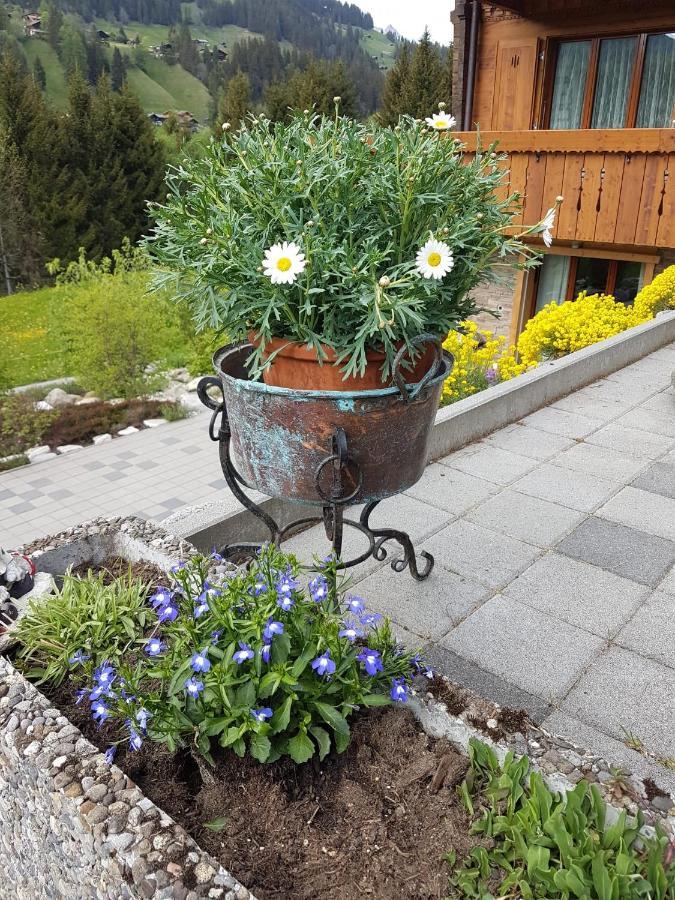 Chalet Grueneggli Adelboden Kültér fotó
