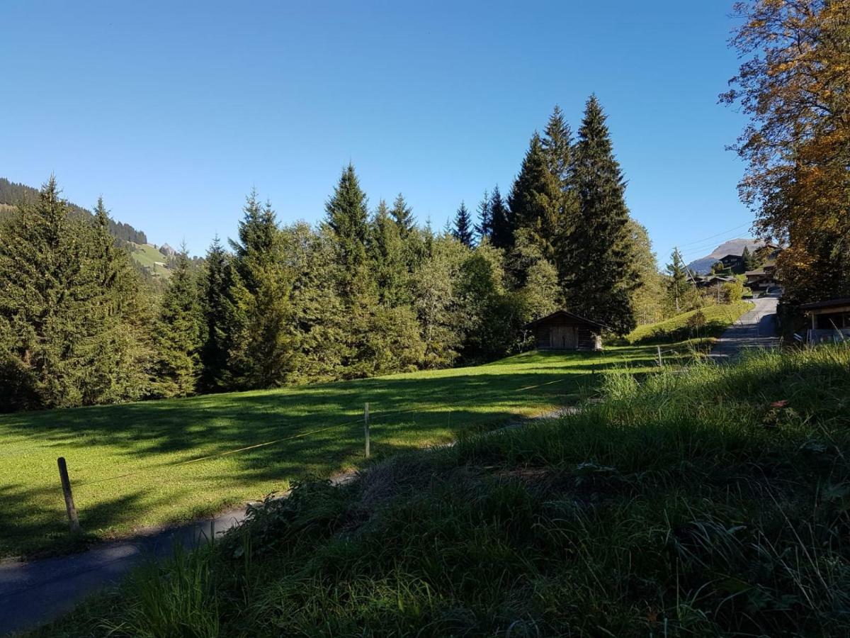 Chalet Grueneggli Adelboden Kültér fotó